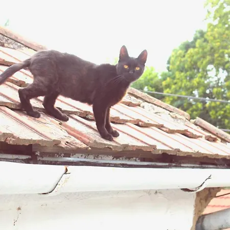 Teljesen Felszerelt Kis Haz, Sajat Udvarral :) - Notre Petite Maison * Pětikostelí