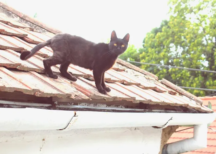 Teljesen Felszerelt Kis Ház, Saját Udvarral :) - Notre Petite Maison * Pécs